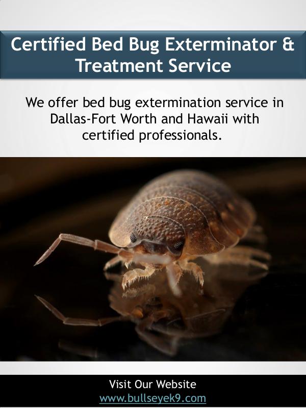 Certified Bed Bug Exterminator & Treatment Service Certified Bed Bug Exterminator & Treatment Service