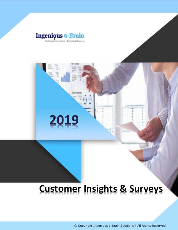Business Intelligence – Consumer Insights and Surveys Customer Insights & Surveys
