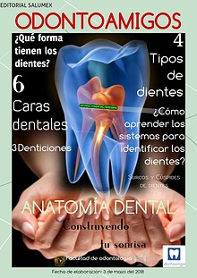 Anatomía Dental