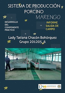 Informe práctica sistema de producción porcino_Lady Chacón