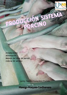 Sistema producción porcino
