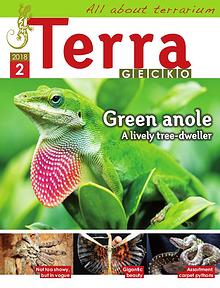 Terra Gecko Magazine : All about terrarium