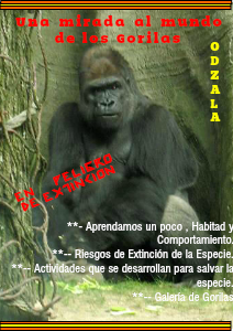 El Gorila de Odzala 1 Noviembre 2013