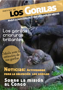 Encuentra al gorila Nov. 2013