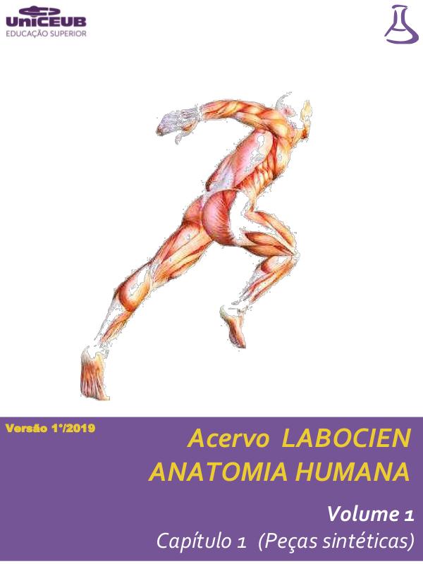 Normas Labocien Acervo Labocien _ Vol 1 _ Anatomia humana cap 1 20