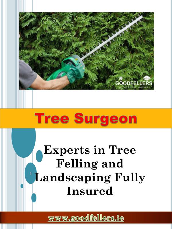 Tree Surgery Dublin Tree Surgeon Dublin