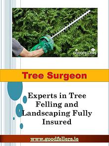 Tree Surgery Dublin