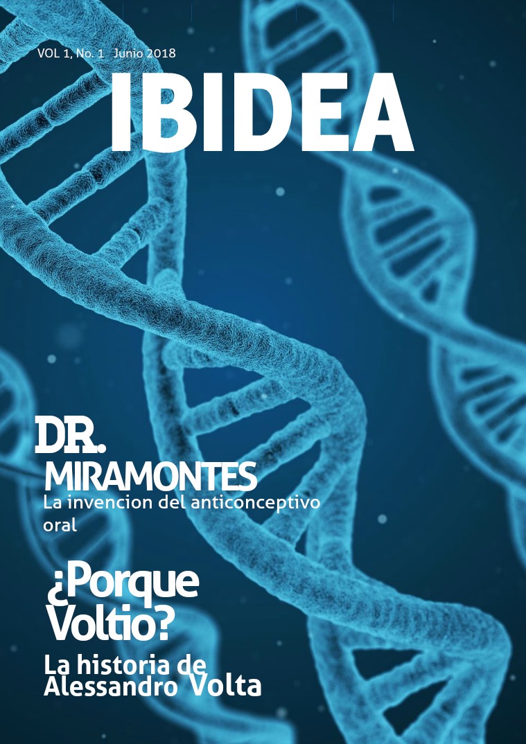 IBIDEA #1