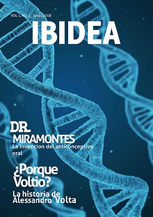 IBIDEA