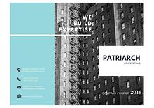 Patriarch Consulting - Company Profile