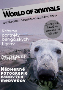World of animals november 2013