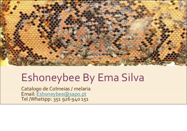 Eshoneybee by Ema Silva apresentação catalogo colemias 2018_pdf