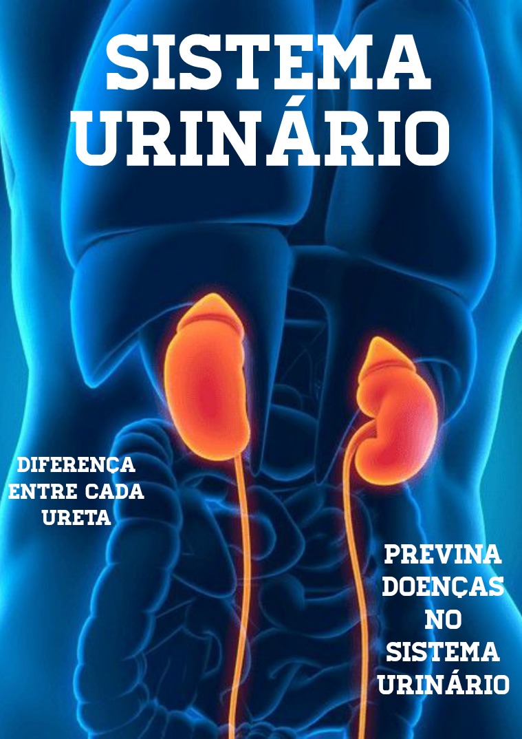 Sistema urinário