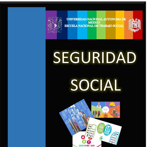Seguridad Social Proyecto_Noemi Flores