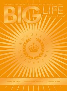 BIG LIFE Magazine