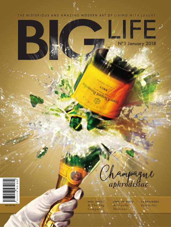 BIG LIFE Magazine BIG LIFE Magazine Edition N°1 - January