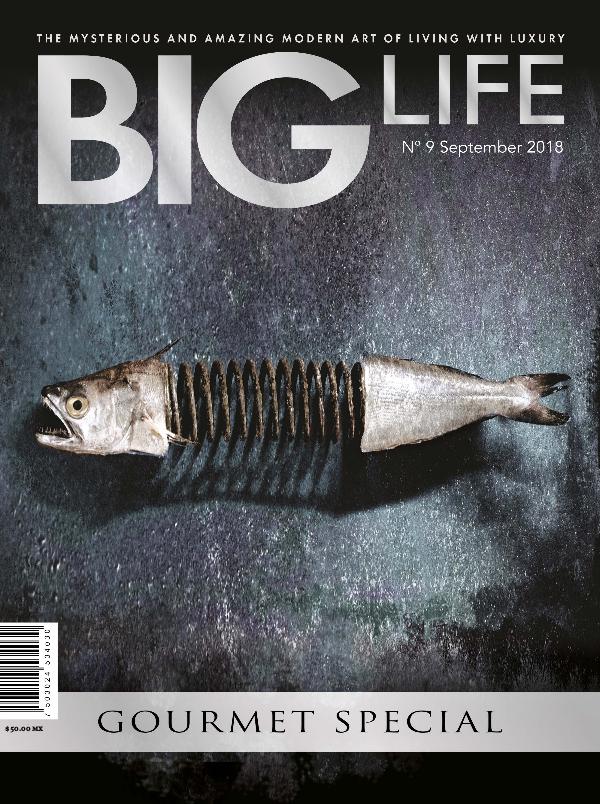 BIG LIFE Magazine BIG LIFE Magazine Edition N°9 - September