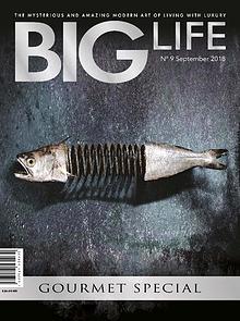 BIG LIFE Magazine