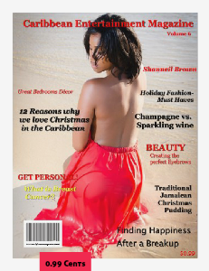 Caribbean Entertainment Magazine - Volume 6 Nov - Dec 2013