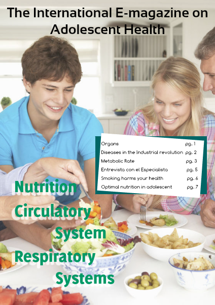 Nutrition and Your Circulatory and Respiratory Sy