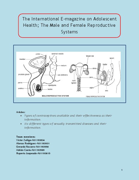 The International E-magazine on Adolescent Health; The Male and Female Reproductive Systems E-Magazine Reproductive System