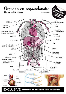 Organen en orgaandonatie