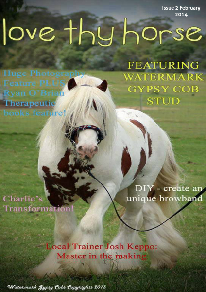 Love Thy Horse ISSUE 2