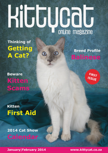 Kittycat Magazine Issue 1 January/February 2014