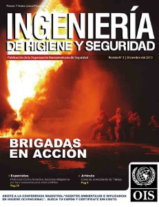 REVISTA INGENIERÍA DE HIGIENE Y SEGURIDAD (Dic.2013)