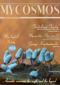 Mycosmos January 2014