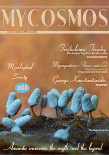 Mycosmos