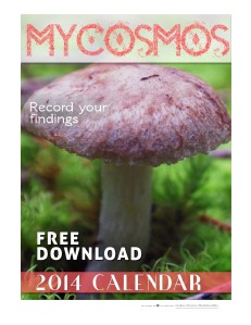 Mycosmos 2014 Calendar