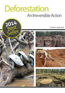 Deforestation - The Irreversible Action